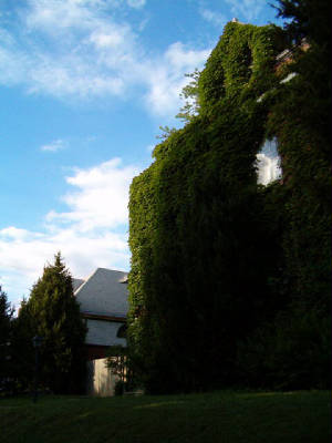 sunnyside.jpg