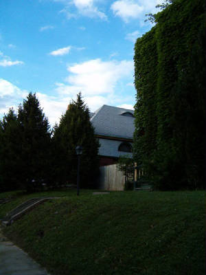 sunnyside2.jpg